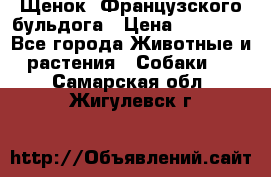 Щенок  Французского бульдога › Цена ­ 35 000 - Все города Животные и растения » Собаки   . Самарская обл.,Жигулевск г.